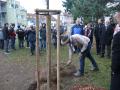 2018-10-28 sazeni_lipy_liskovec 13